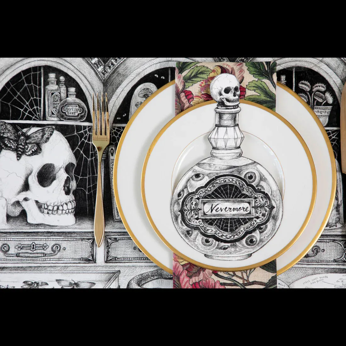 Cabinet of Curiosities Placemats {24 sheets}